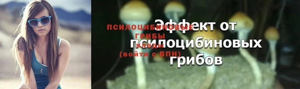 ешки Лабытнанги