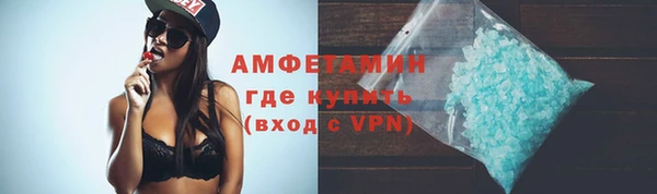 спиды Тайга