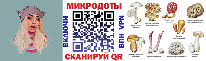 kraken ссылки  нарко площадка официальный сайт  Галлюциногенные грибы Psilocybine cubensis  Мелеуз 