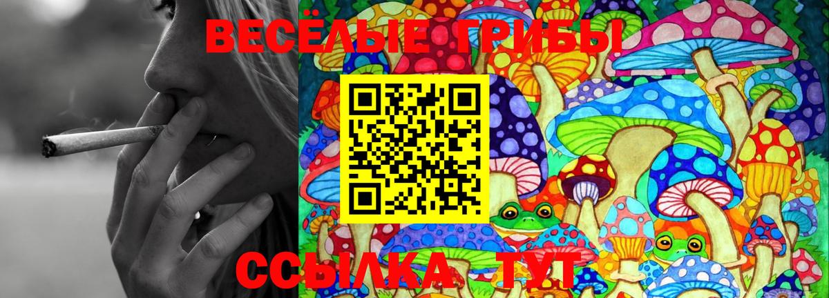 Мелеуз  Галлюциногенные грибы Psilocybe  Псилоцибиновые грибы MAGIC MUSHROOMS  Вход с VPN 